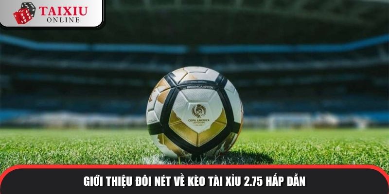 keo tai xiu 2.75 1 1027 Giới thiệu đôi nét về kèo tài xỉu 2.75 hấp dẫn