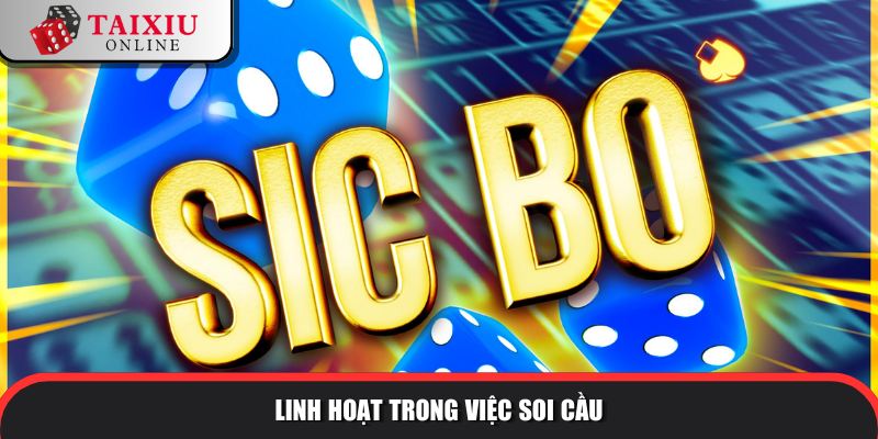 linh hoat soi cau 806 Soi cầu linh hoạt