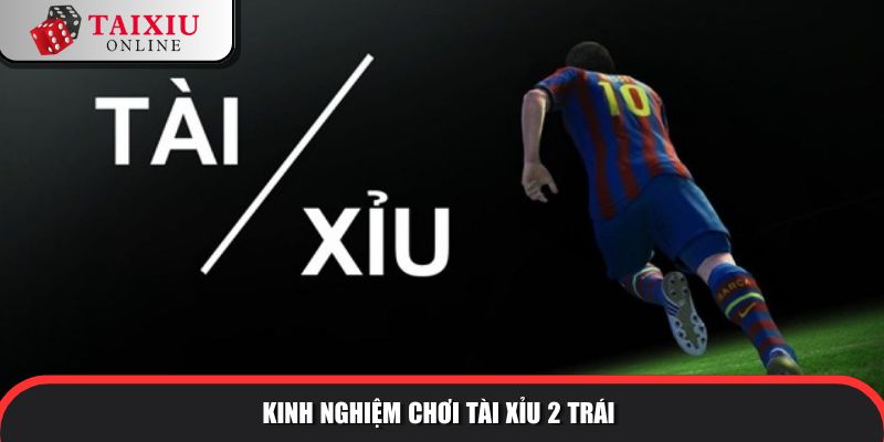 tai xiu 2 trai la sao 3 211 Kinh nghiệm chơi tài xỉu 2 trái