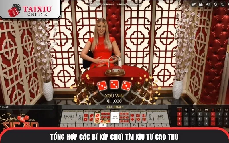tong hop cac bi kip choi tai xiu tu cao thu 1305 Tổng hợp các bí kíp chơi tài xỉu từ cao thủ