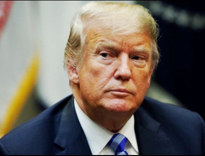 Donaldo 7